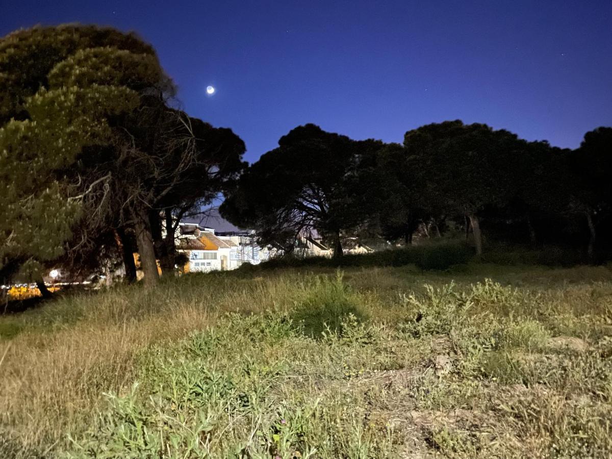 Casa De La Duna Costa Blanca La Mata  Εξωτερικό φωτογραφία
