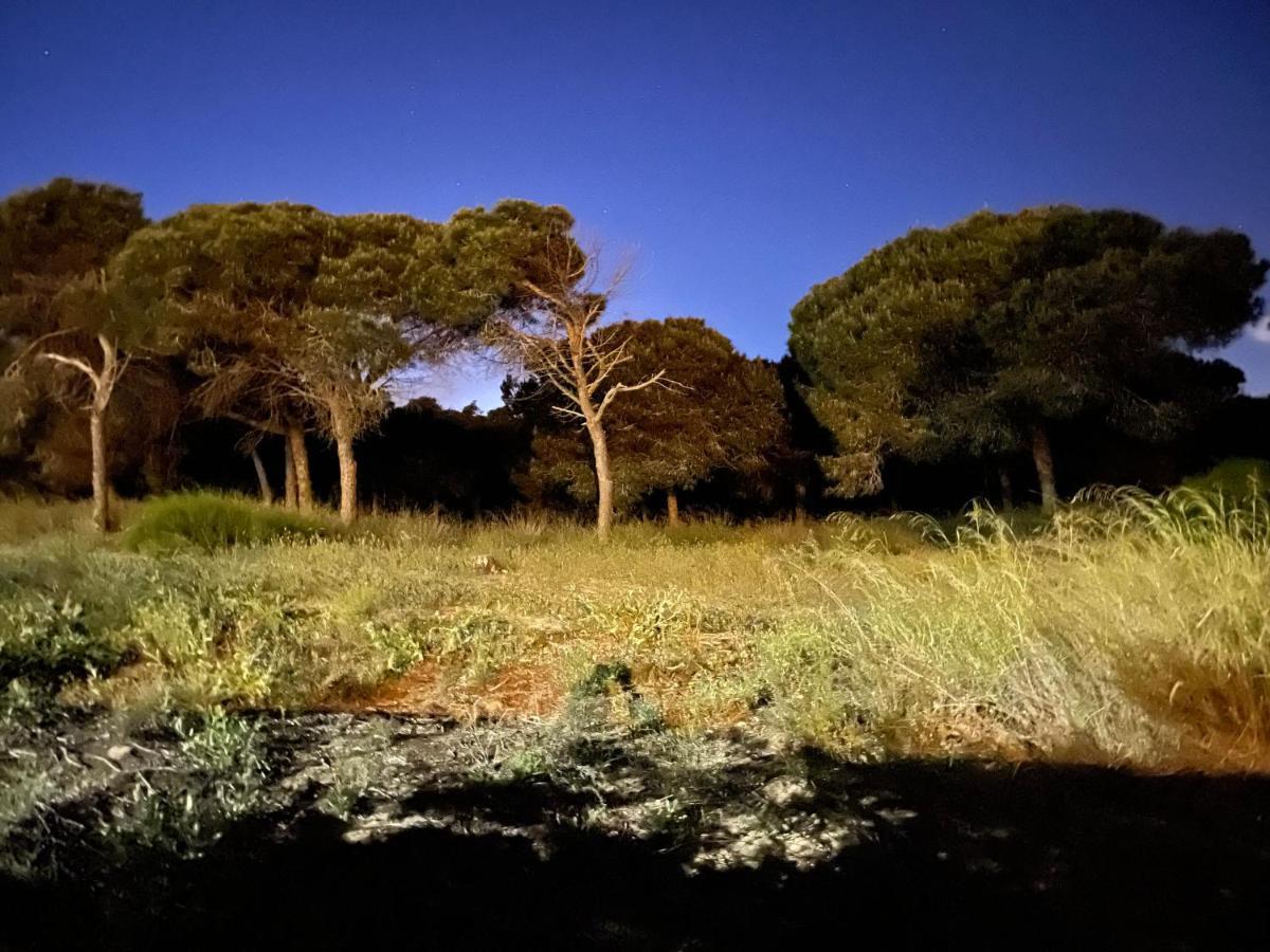 Casa De La Duna Costa Blanca La Mata  Εξωτερικό φωτογραφία